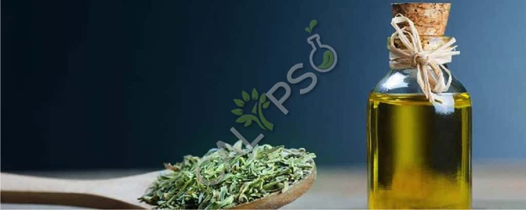 Oregano Oil Near Me